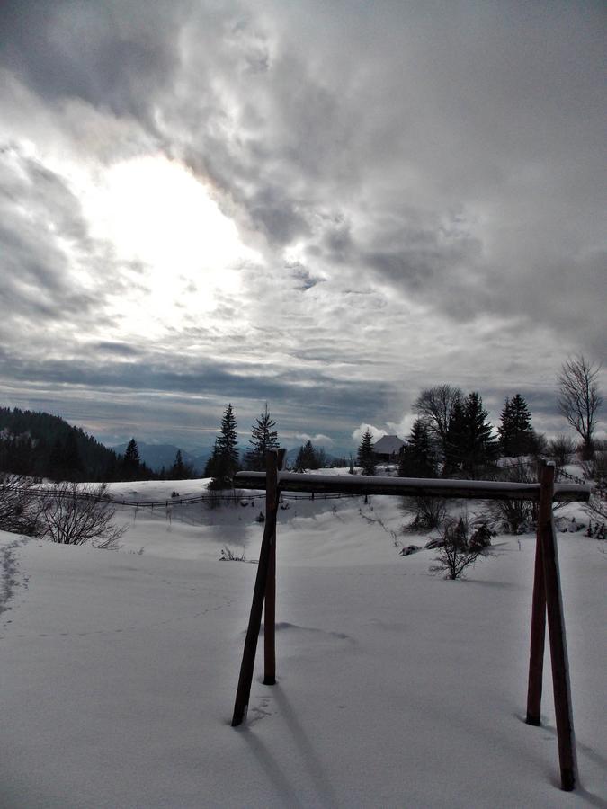 Villa Planinska Koliba Sekulic Esterno foto